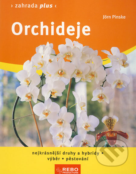 Siracusalife.it Orchideje Image