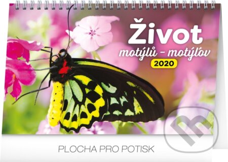 Stolní kalendář Život motýlů – Stolový kalendár Život motýľov 2020 - 