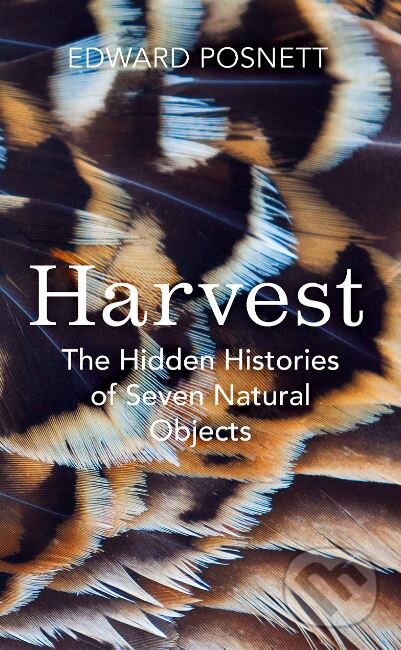 Harvest - Edward Posnett