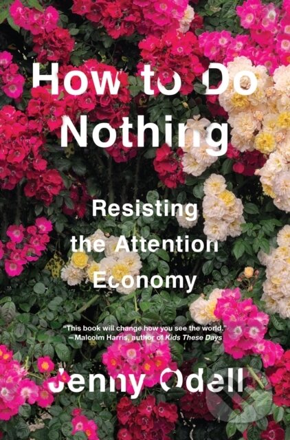 how to do nothing jenny odell review