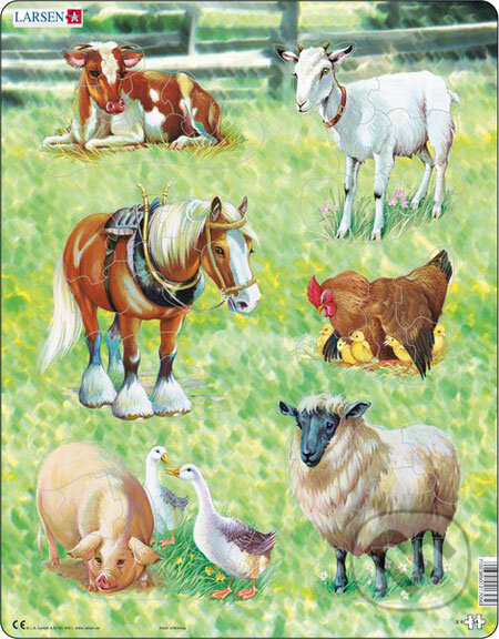 Domáce zvieratá X8