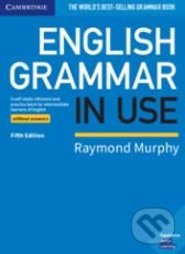 English Grammar in Use - Book without Answers