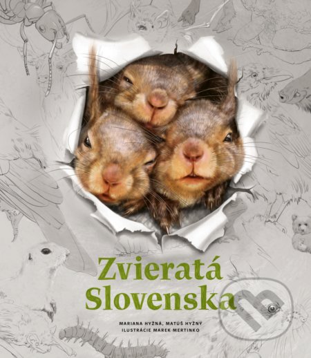 Zvieratá Slovenska - Mariana Hyžná