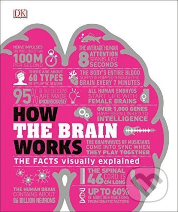 How the Brain Works - 