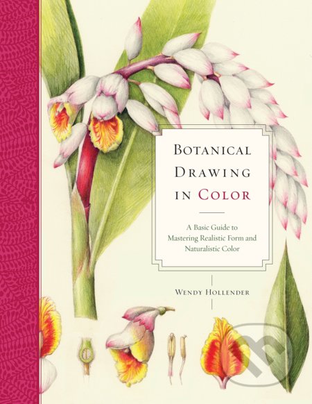 Botanical Drawing In Color - Wendy Hollender