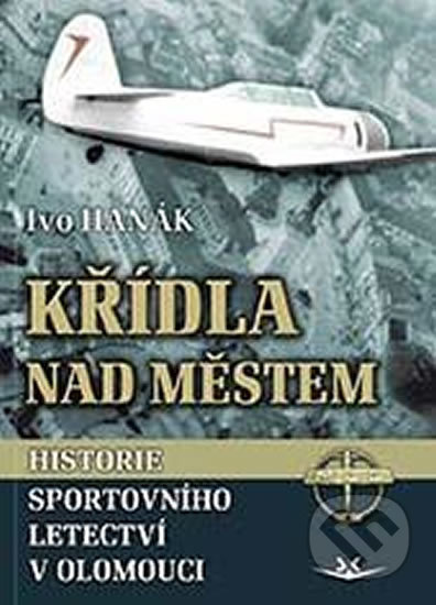 Křídla nad městem