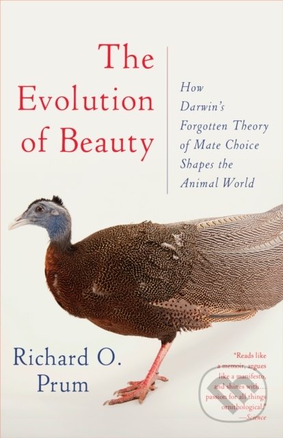 Evolution of Beauty