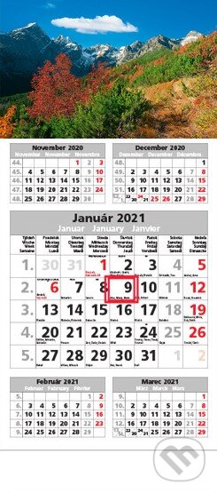 Štandard 5-mesačný sivý nástenný kalendár 2021 - jesenná krajina - 