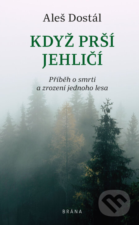 Když prší jehličí