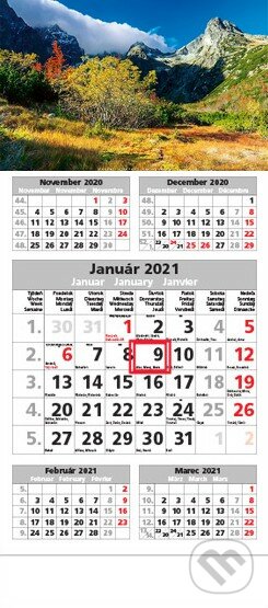 Štandard 5-mesačný sivý nástenný kalendár 2021 - hory - 