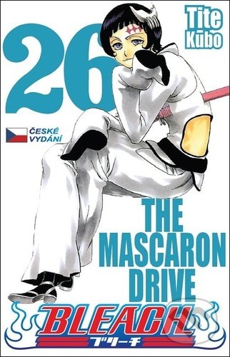 Bleach 26