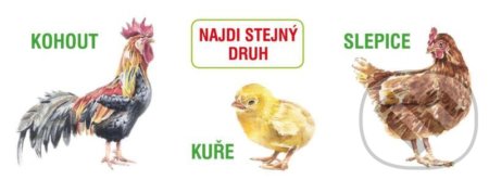 Najdi stejný druh