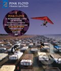 Pink Floyd: A Momentary Lapse Of Reason CD/DVD - Pink Floyd