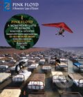 Pink Floyd: A Momentary Lapse Of Reason CD/BD - Pink Floyd