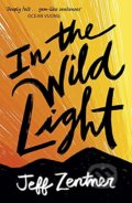 In the Wild Light - Jeff Zentner
