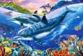 Dolphin Lagoon - 