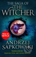The Saga of the Witcher - Andrzej Sapkowski
