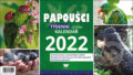 Papoušci - týdenní stolní kalendář 2022 - 