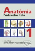 Anatómia ľudského tela I. - Peter Mráz