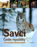 Savci České republiky - Miloš Anděra, Jiří Gaisler