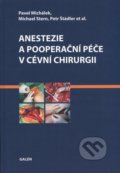 Anestezie a pooperační péče v cévní chirurgii - Pavel Michálek, Michael Stern, Petr Štádler