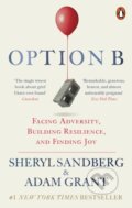 Option B - Adam Grant, Sheryl Sandberg