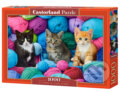 Kittens in Yarn Store - 