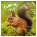 Poznámkový nástěnný kalendář Animal of the forest 2023 - 