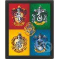 Harry Potter Obraz 3D - farebný - 