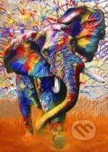 African Colours - 