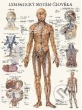 Lymfatický systém člověka (mapa) - Eva Hrubá