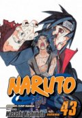 Naruto, Vol. 43: The Man with the Truth - Masashi Kishimoto