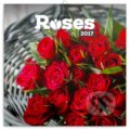 Roses 2017 - 