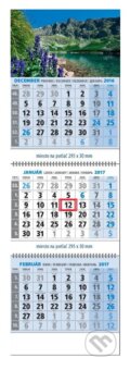 Klasický 3-mesačný kalendár 2017 s motívom hôr - 