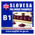 Angličtina - slovesa pro mírně pokročilé - Kolektív autorov