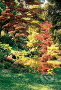 Japonská záhrada - 