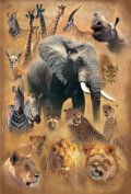 Svet divokých zvierat - 