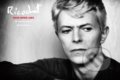 Ricochet: David Bowie 1983 - Denis O&#039;Regan