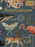 Animalium - Jenny Broom, Katie Scott (ilustrácie)
