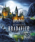 Harry Potter 3D průvodce: Bradavice - Matthew Reinhart, Kevin Wilson