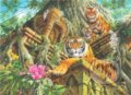 Temple Tigers - 