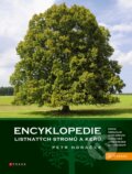 Encyklopedie listnatých stromů a keřů - Petr Horáček