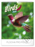 Nástěnný kalendář Birds 2020 - 