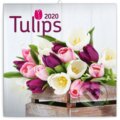 Poznámkový kalendář / kalendár Tulips 2020 - 