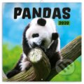 Poznámkový kalendář / kalendár Pandas 2020 - 