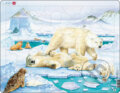 Animals - ľadové medvede FH5 - 