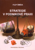 Strategie v podnikové praxi - Filip Šmída