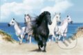The Dream Horses - 