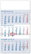 Nástěnný kalendář Standard (modrý) 2021 - 