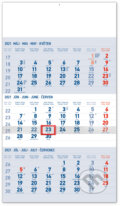 Nástenný kalendár Standard (modrý) 2021 - 